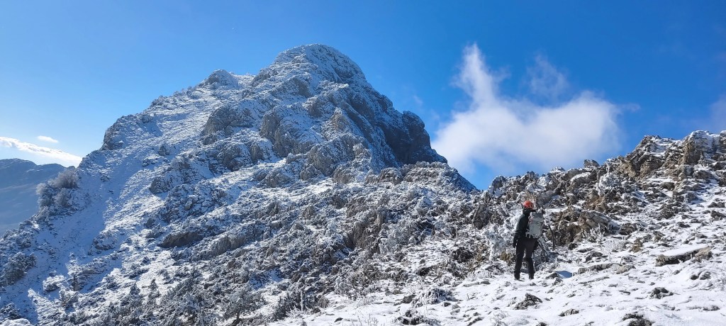 Αρτεμίσιο – Χτένια