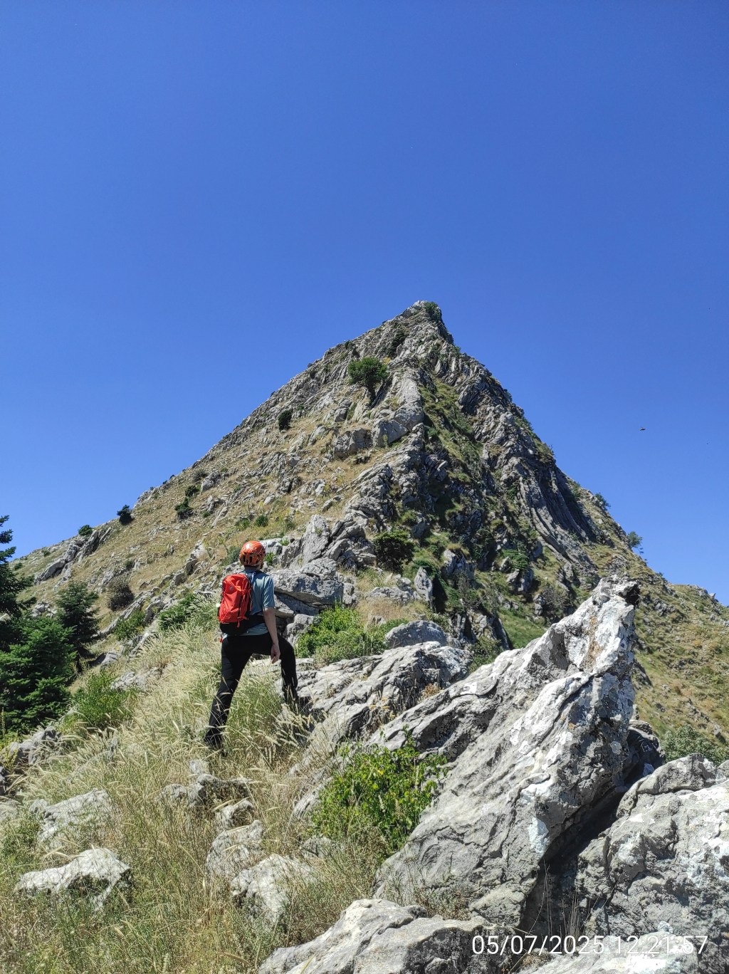 Δόντι Καλλιφωνίου – Β.Α.&nbsp;Κόψη